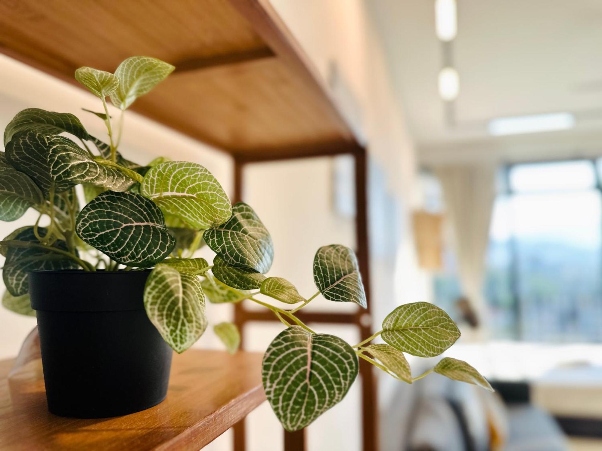 New Georgetown Instagramable 2Br Homestay For 10Pax 无敌美景两房民宿 Beacon Executive Suite エクステリア 写真